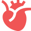 Cardiology