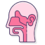 ent care