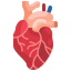 cardiac care