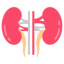 renal care