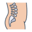 orthopaedic care